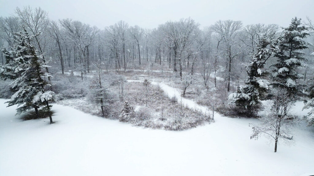 Crow Island Woods in the Winter