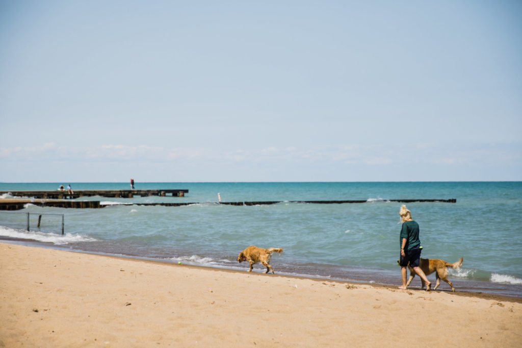 Dog Beach 