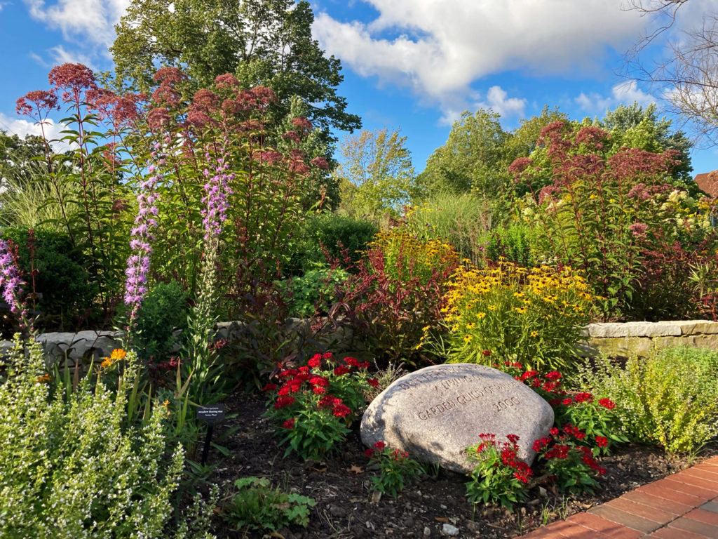 Dwyer Park butterfly garden