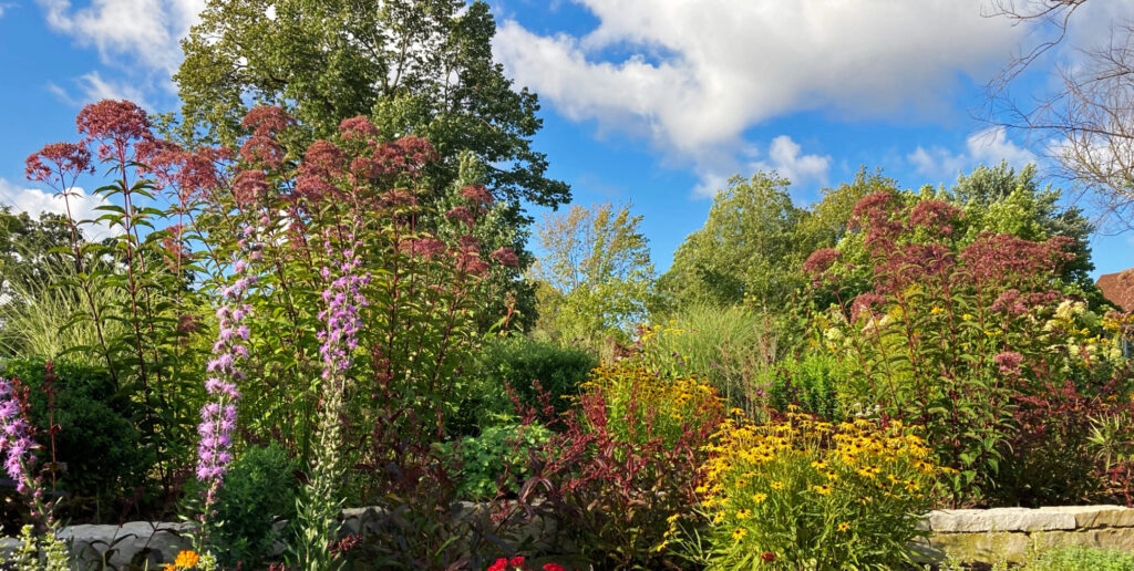 Dwyer Park butterfly garden