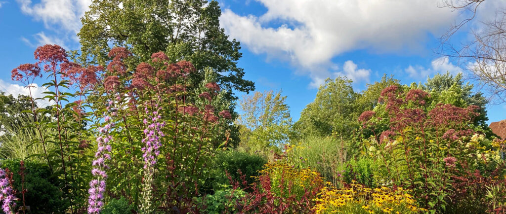 Dwyer Park butterfly garden