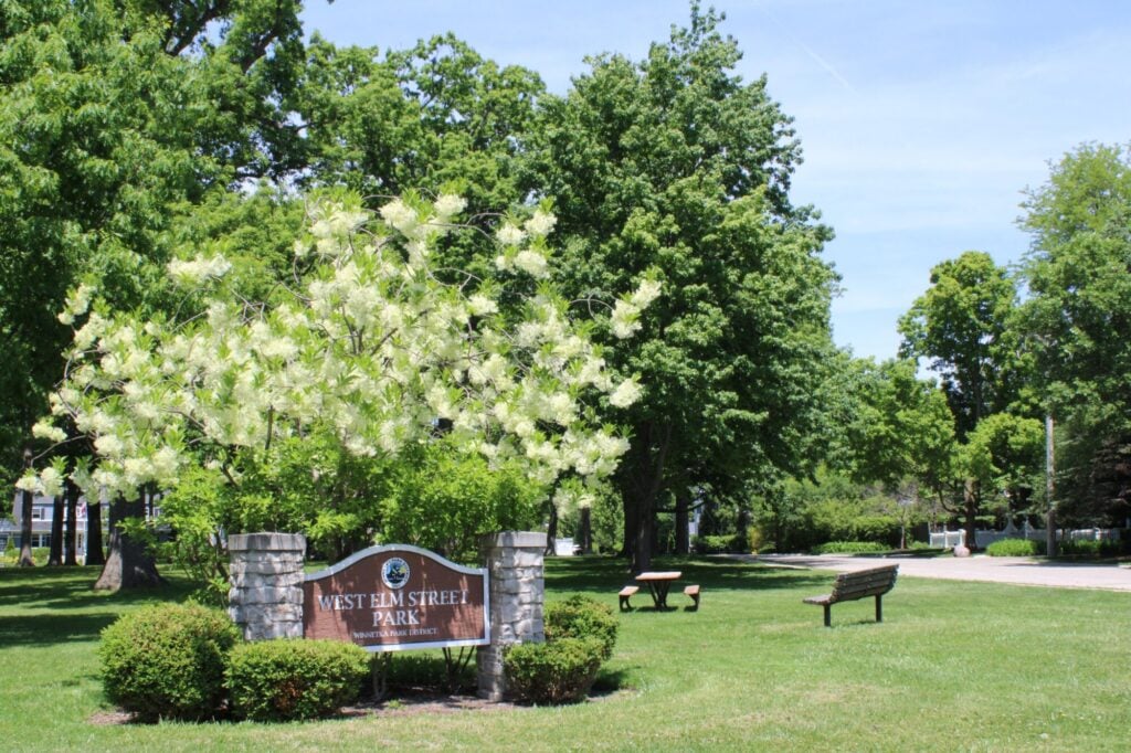 West Elm Street Park sign bed