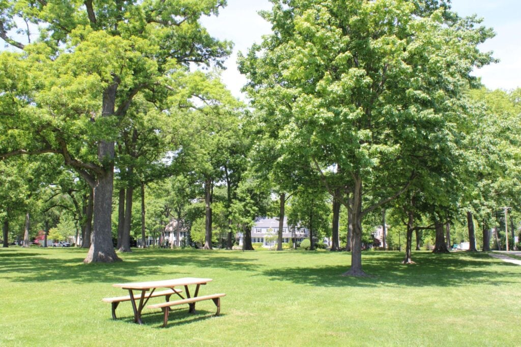 West Elm Street Park picnic table