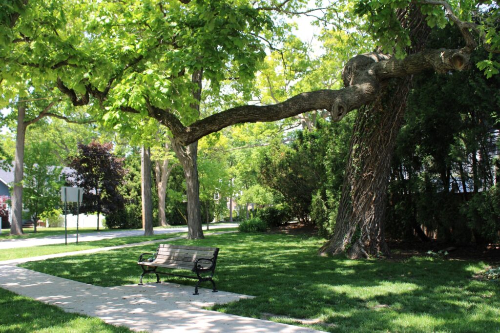 Merril Park