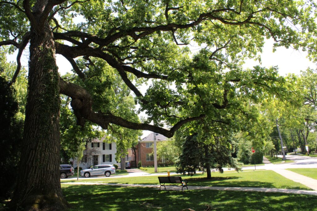 Merril Park