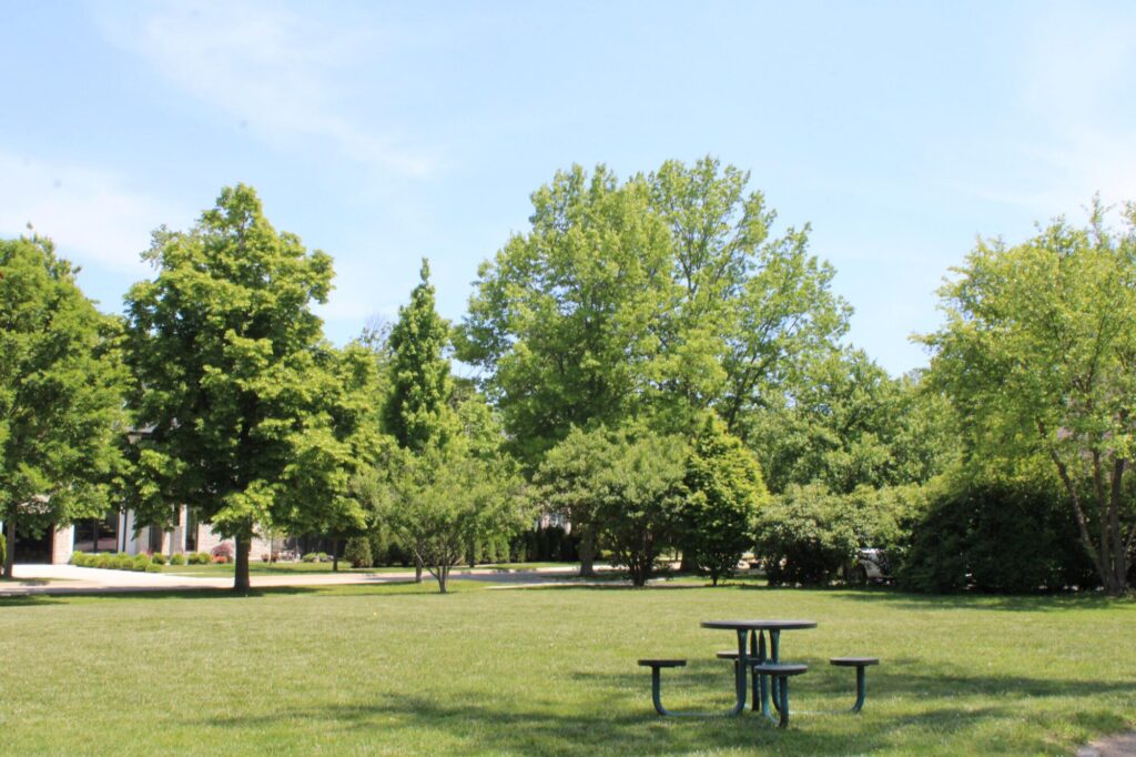 Glencoe Park picnic table