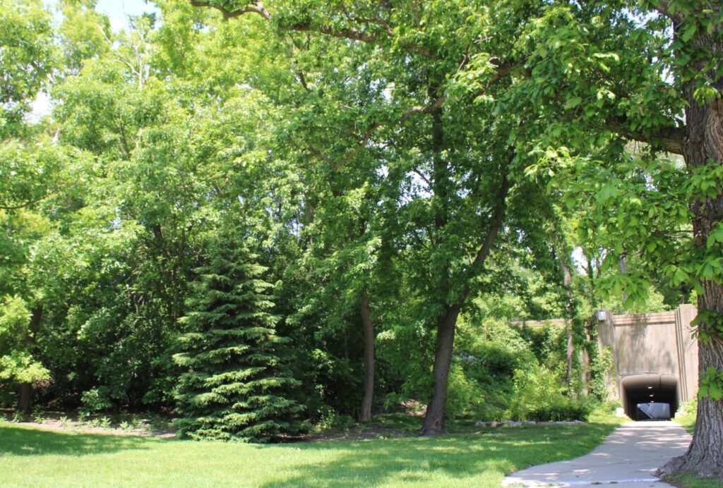 Hill Road Park with tunnel 