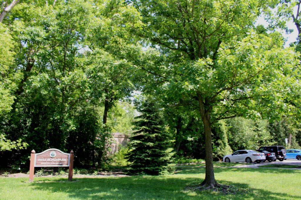 Hill Road Park