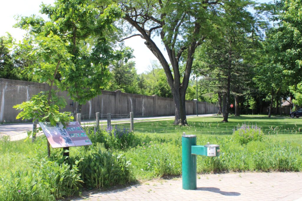 Indian Hill Park pollinator garden + water fountain
