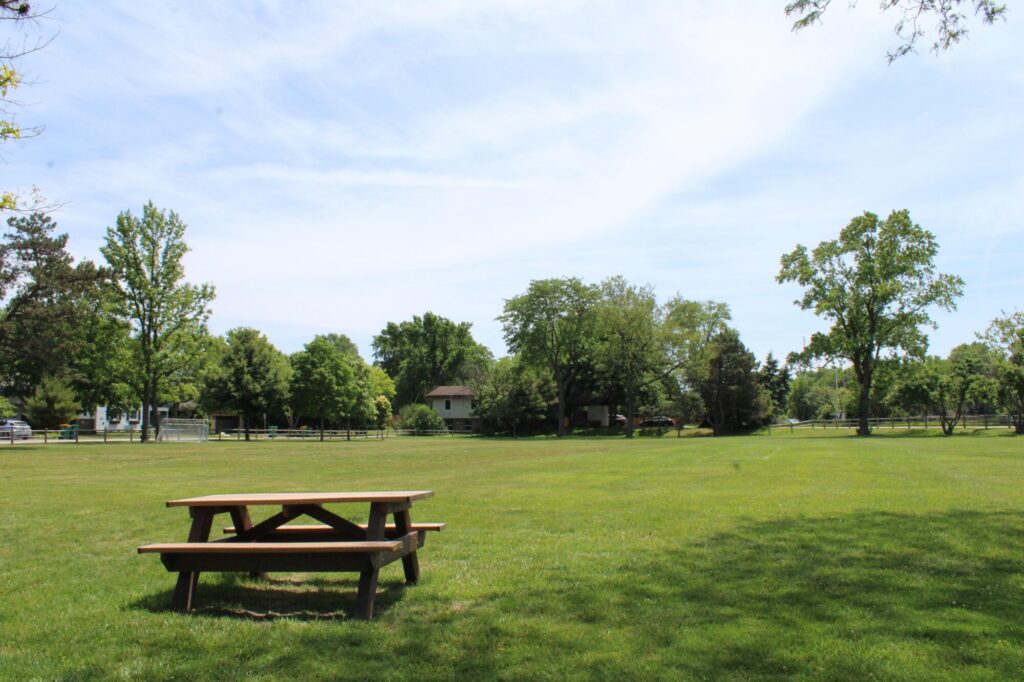 Northfield Park picnic table + field