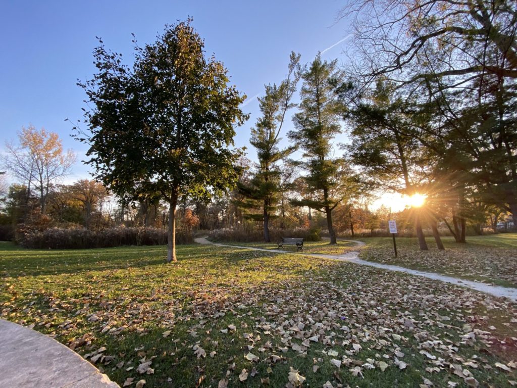 Crow Island Woods walking path