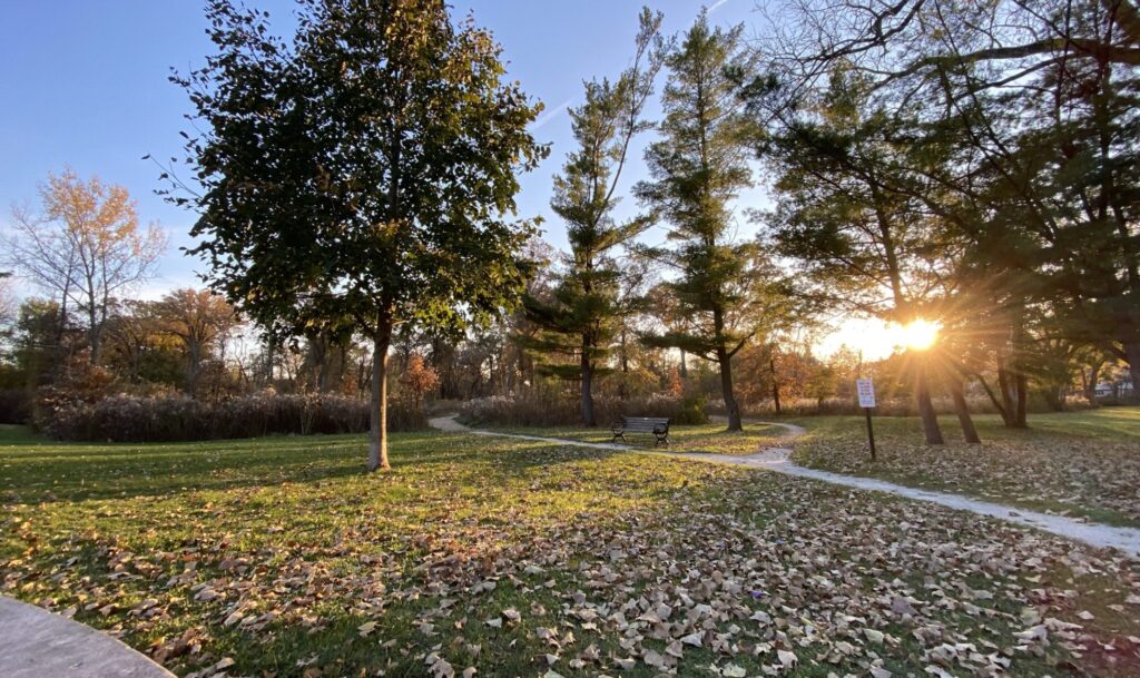 Crow Island Woods walking path