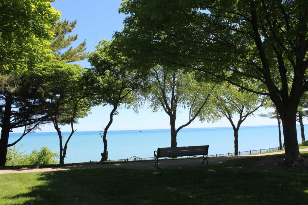 Centennial Park bench