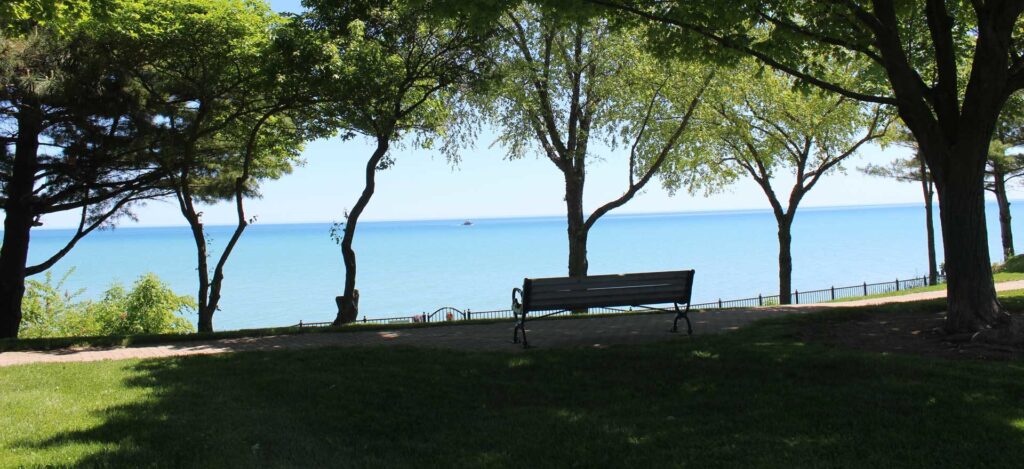 Centennial Park bench
