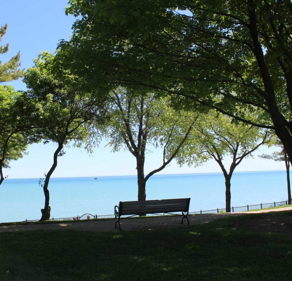 Centennial Park bench