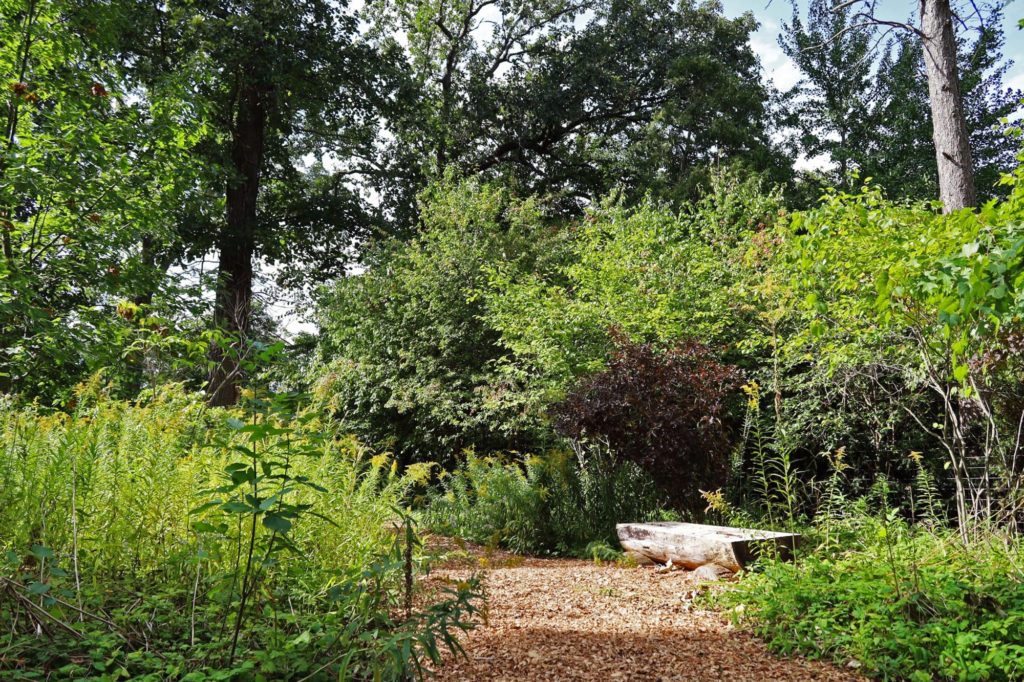 Franklin Dunbaugh Park walking trail + bench