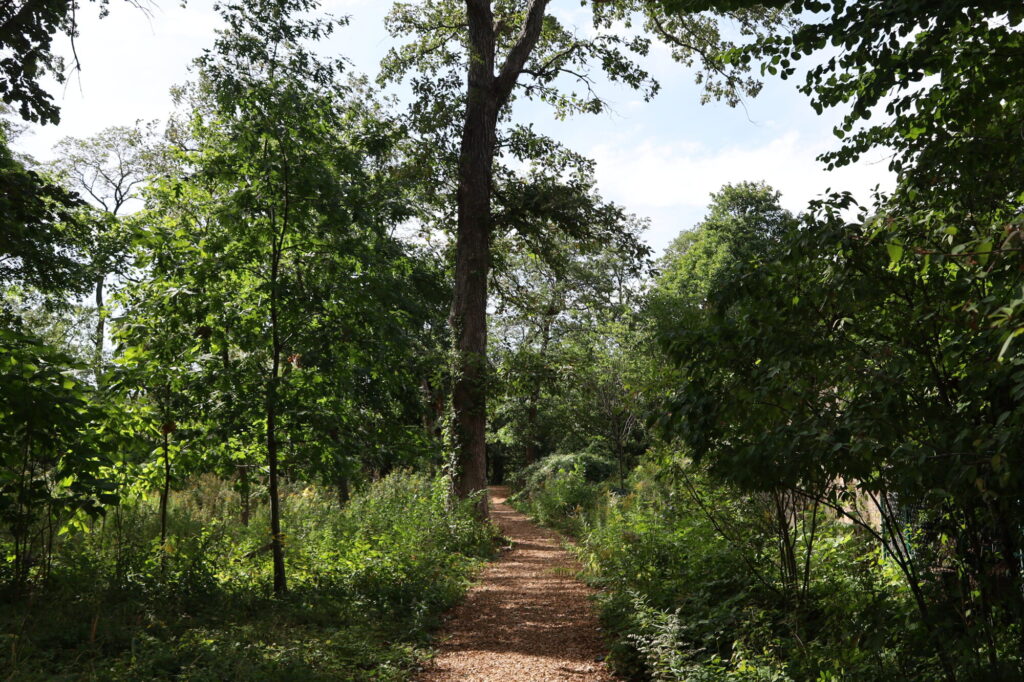Franklin Dunbaugh Park