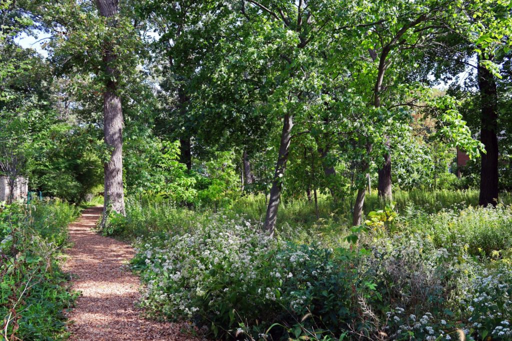 Franklin Dunbaugh Park walking trail