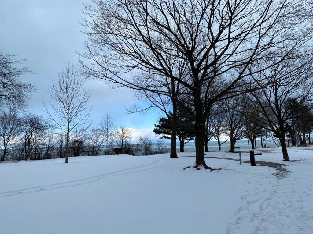 Centennial Park in the Winter 