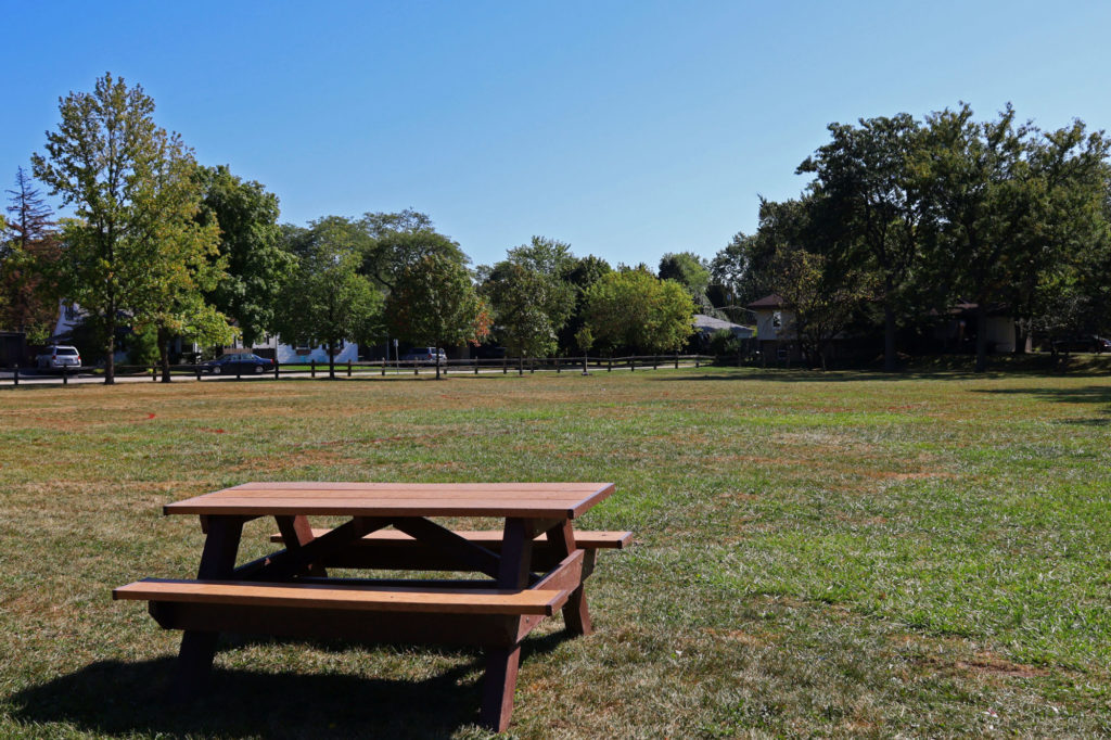 Northfield Park picnic table + lawn