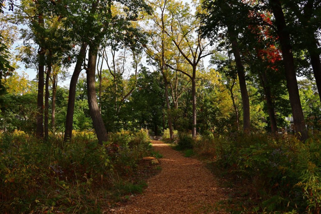 Bell Woods walking path