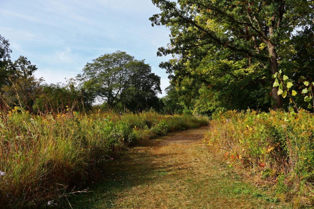 Bell Woods walking path