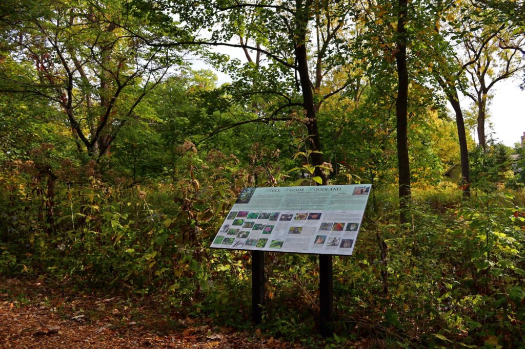 Bell Woods educational signage