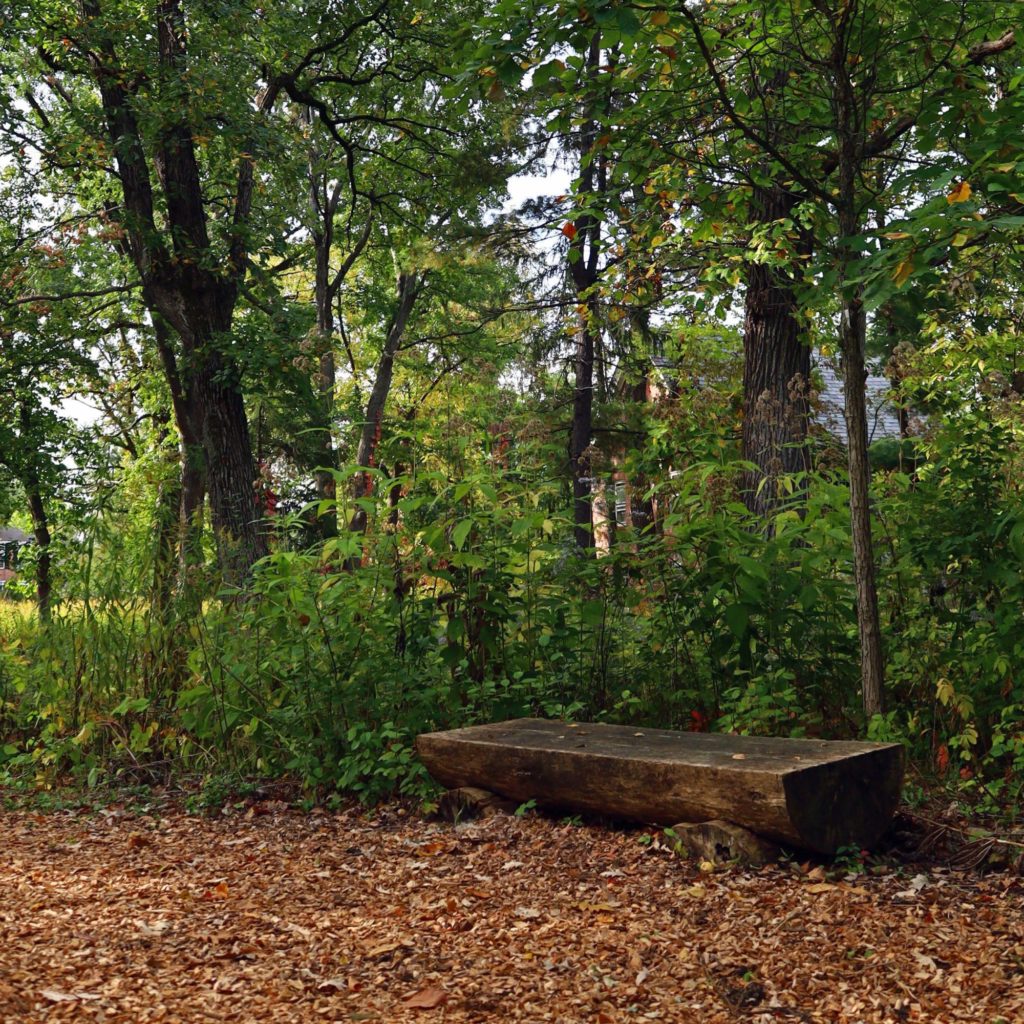 Bell Woods bench