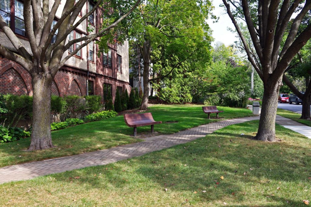 Arborvitae Park benches