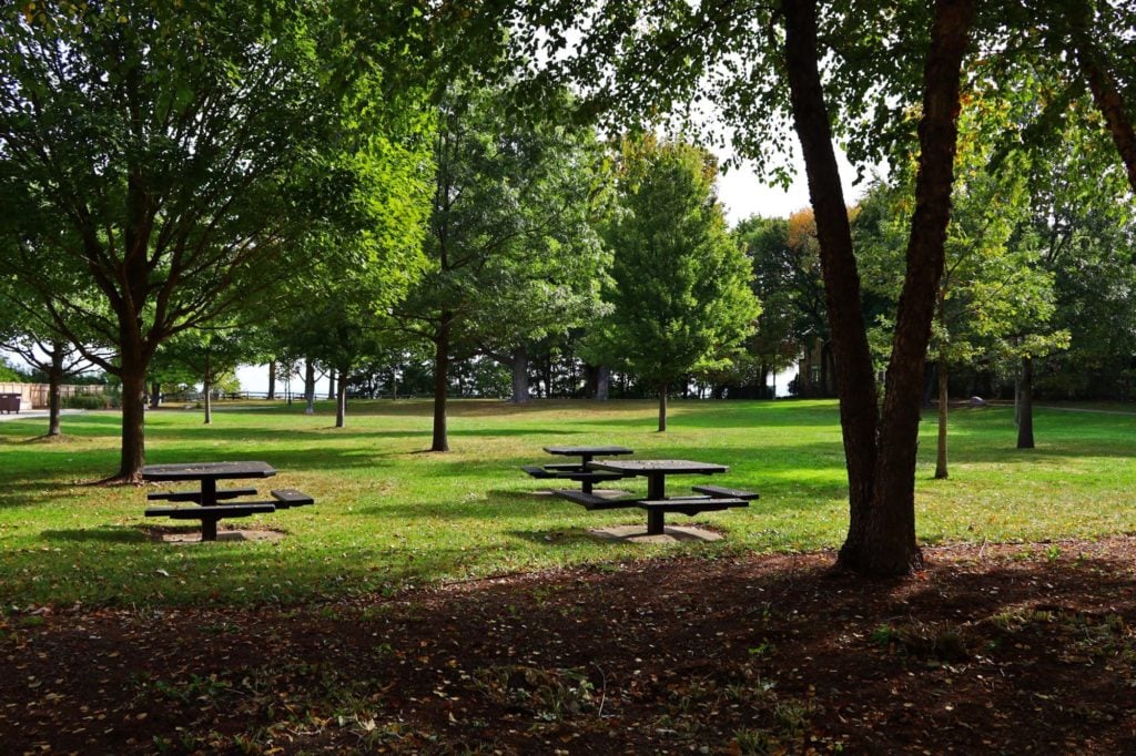 maple street park lawn with picnic benches
