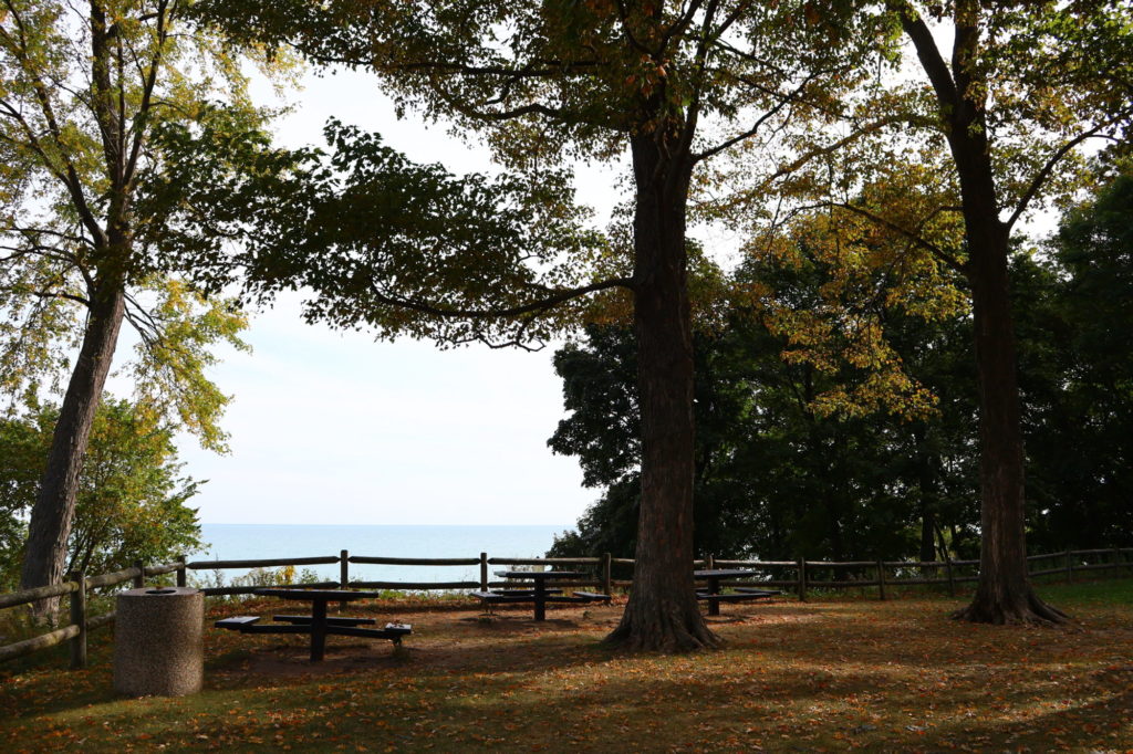 Maple Street Park picnic tables