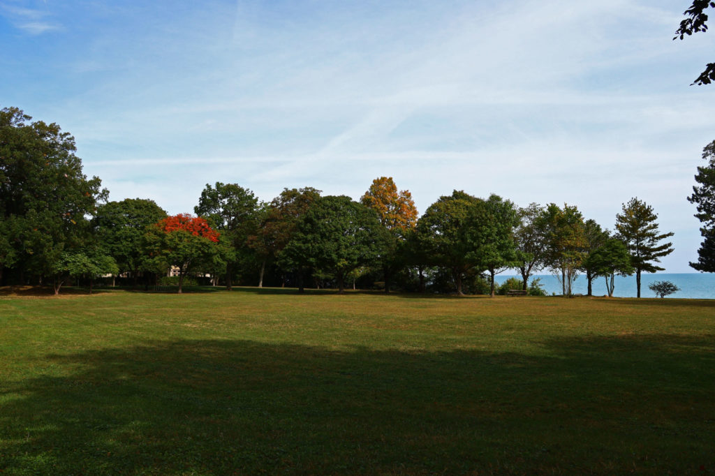 Centennial Park lawn