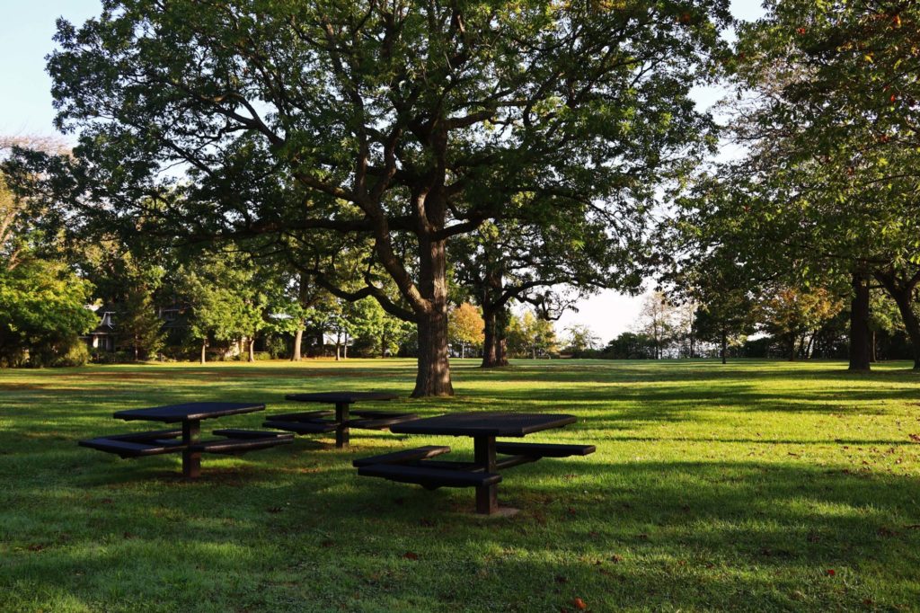 Elder Lane Park picnic tables + lawn