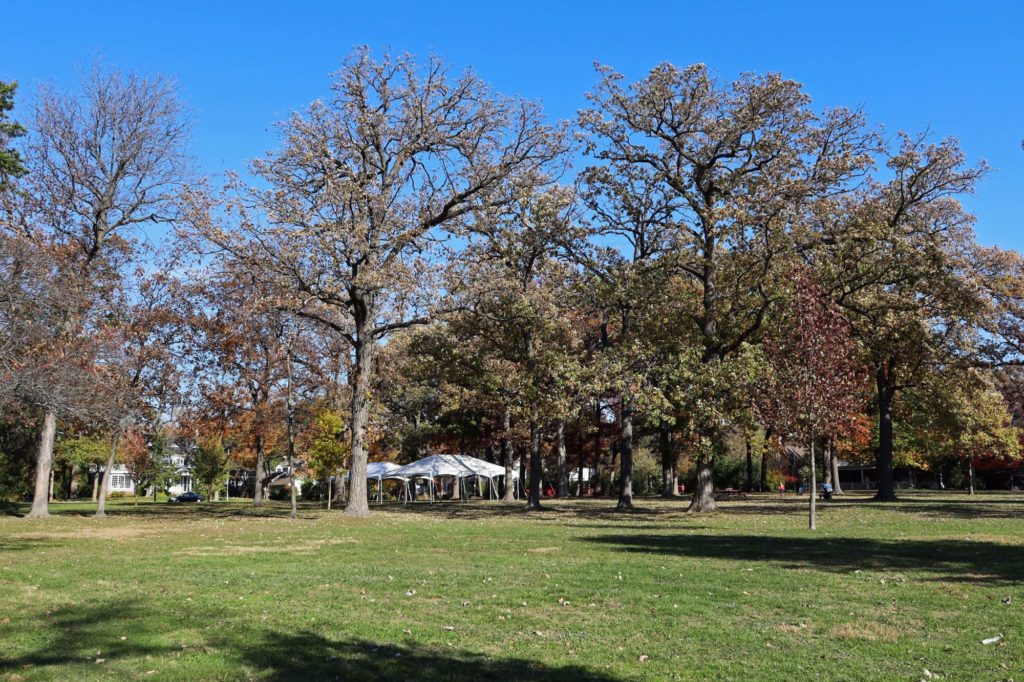 West Elm Street Park