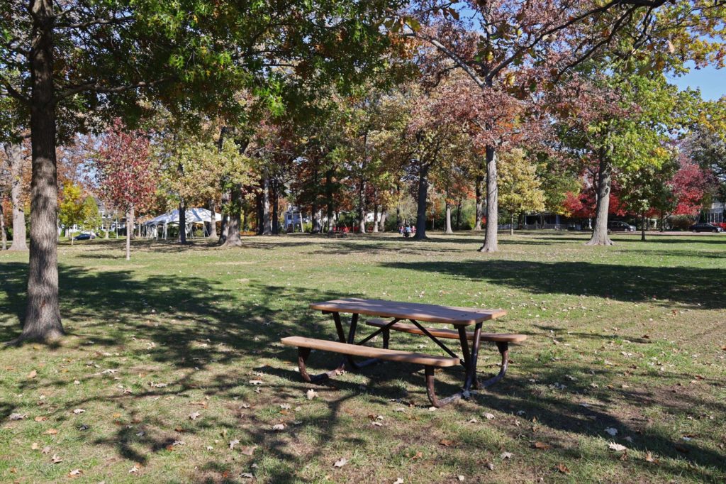 West Elm Street Park picnic table