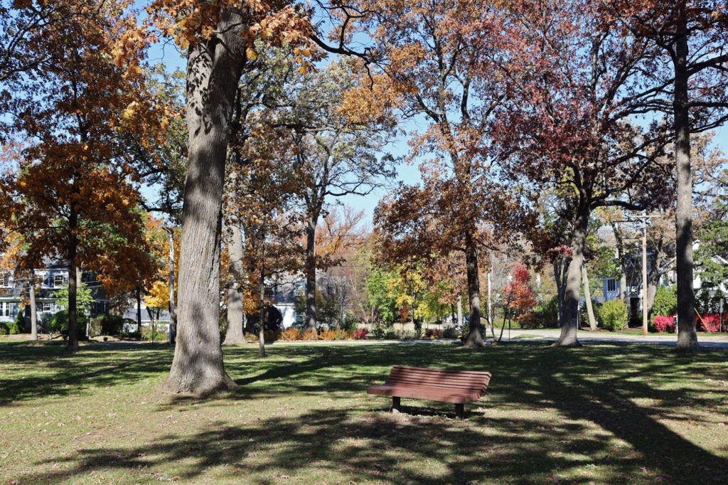 West Elm Street Park bench