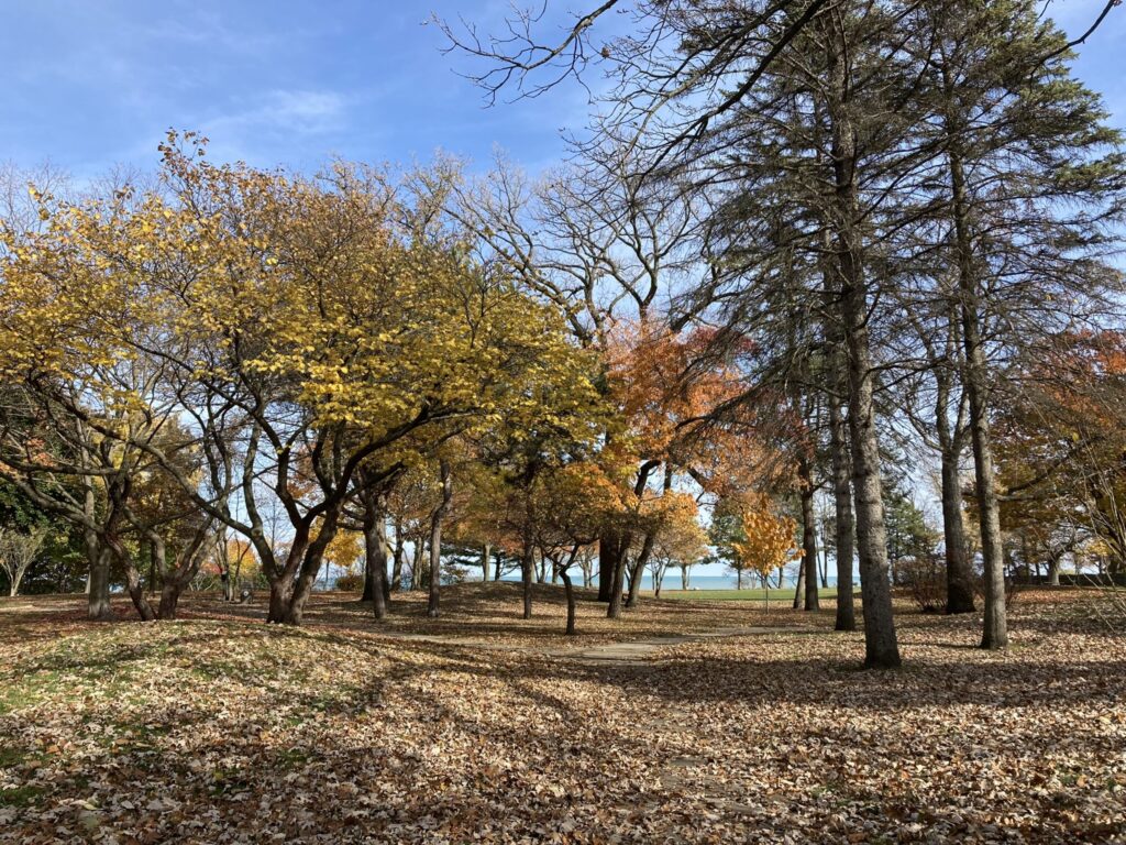 Centennial Park in the Fall 