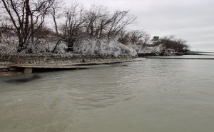 elder lane beach in winter