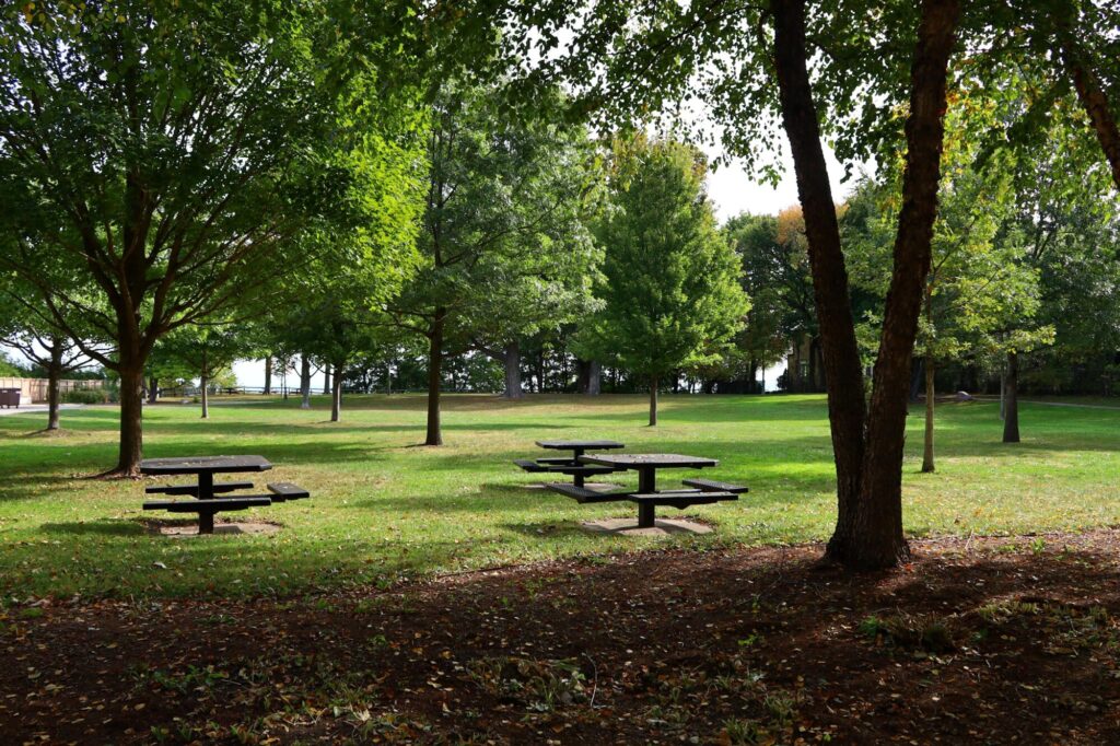 Maple Street Park picnic tables